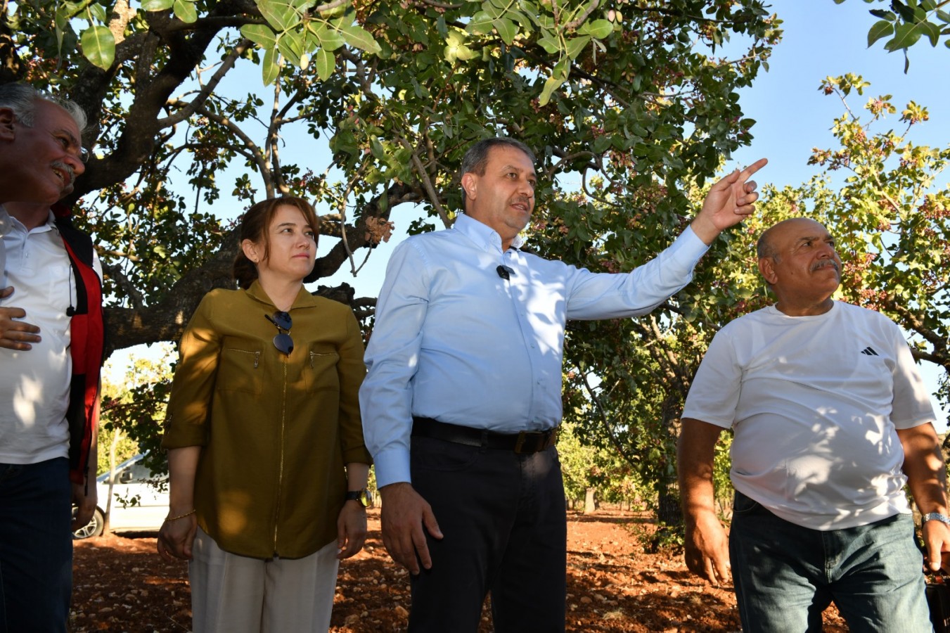 Şanlıurfa'nın ağaçları tescillenecek