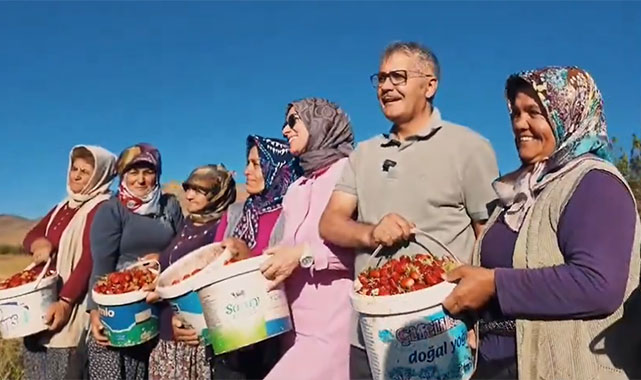'Niğde, bin 860 dekar alanda yapılan üretimle çilek ihtiyacına önemli katkılar sunuyor'';