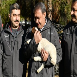 "Şanlıurfa üretimin her bandında lokomotif bir adres"