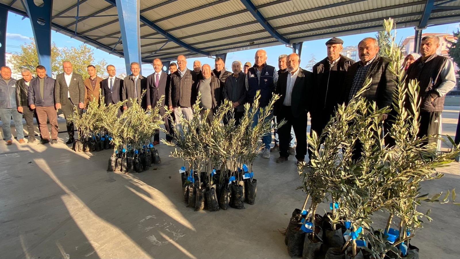 Osmaniye’de 103 üreticiye  10 Bin 500 zeytin fidanı  dağıtıldı;