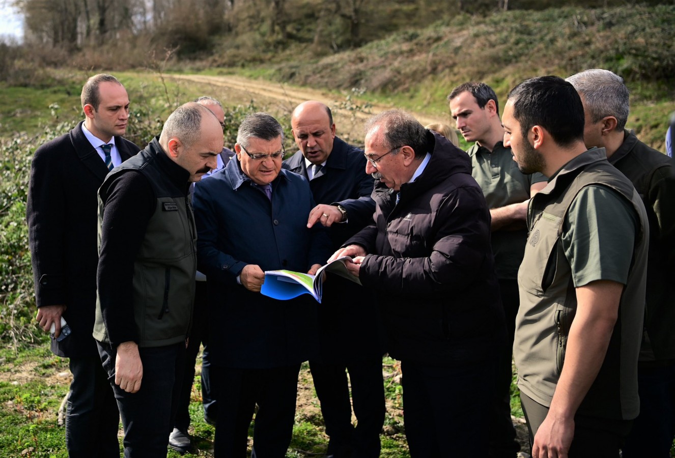 Sinop Valiliği, sahipsiz hayvanlar için harekete geçti;