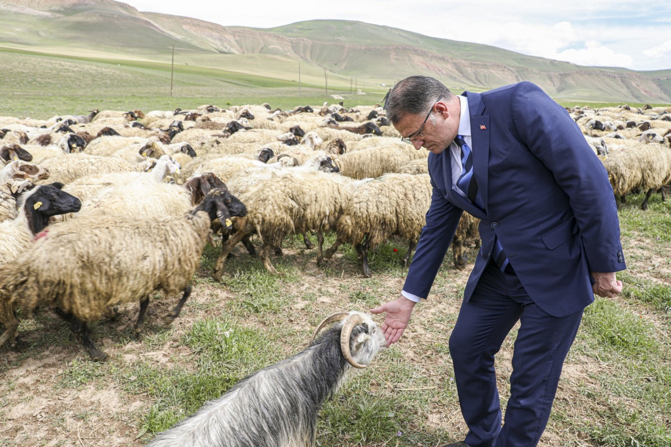 "Hayvancılıkta en büyük atağı Van yaptı"