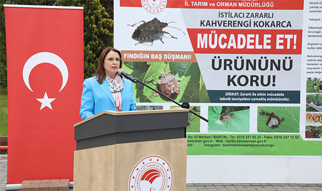 Bartın'da kahverengi kokarcaya karşı topyekun mücadele;