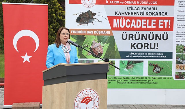 Bartın'da kahverengi kokarcaya karşı topyekun mücadele