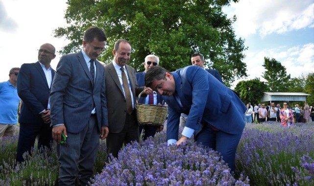 Edirne mora büründü, Lavanta Günleri başladı