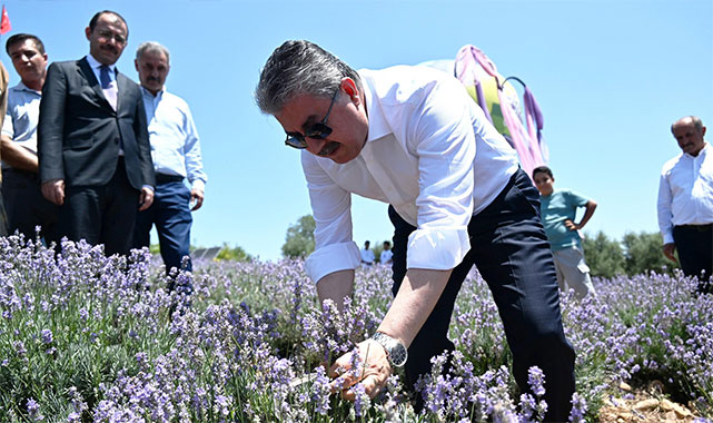 Vali Yılmaz, lavanta hasadı yaptı: Gerçekten kârlı bir yatırım;