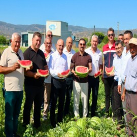 Kaymakam Taşkın üreticileri tarlada ziyaret etti