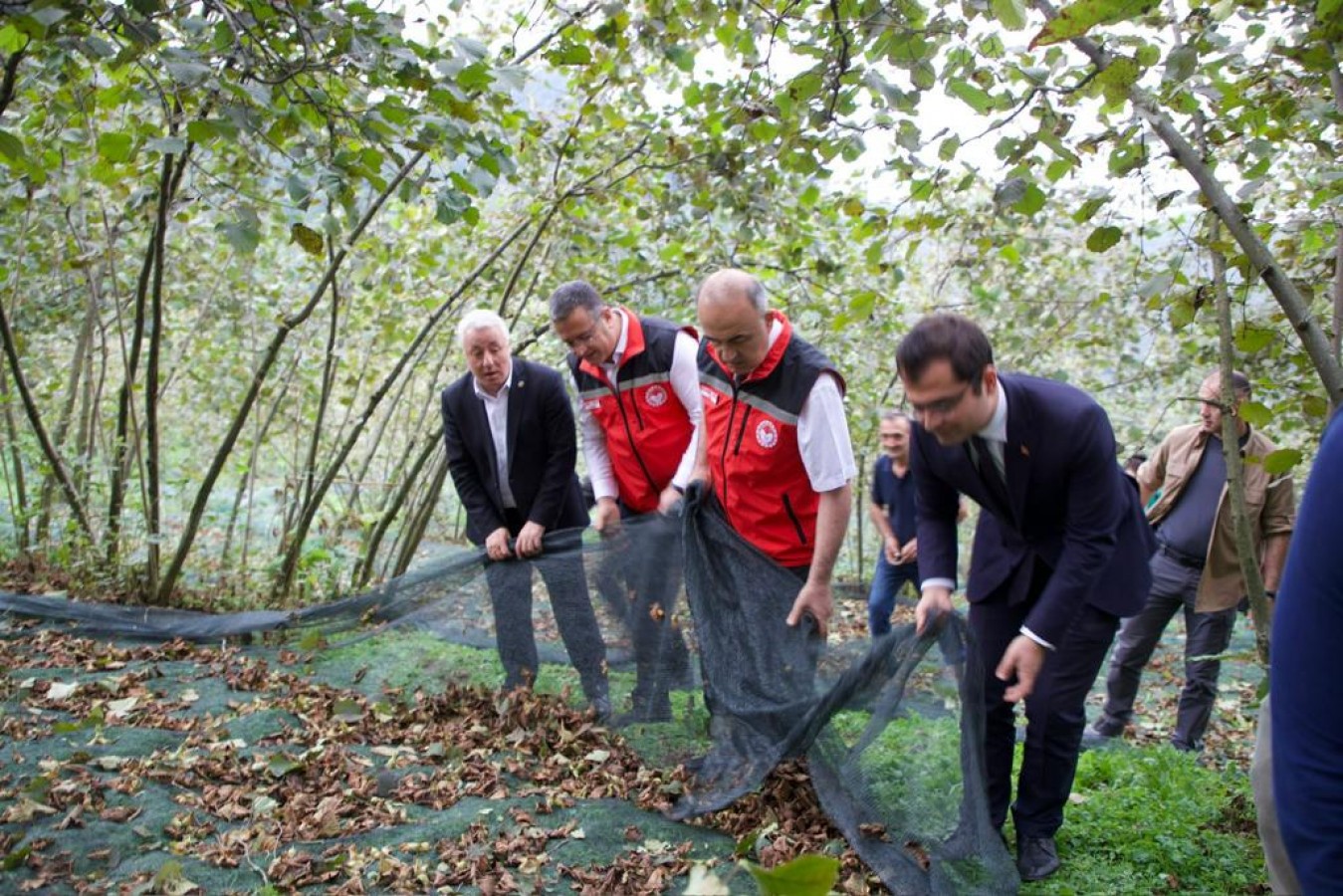 Üreticilerle fındık topladı;