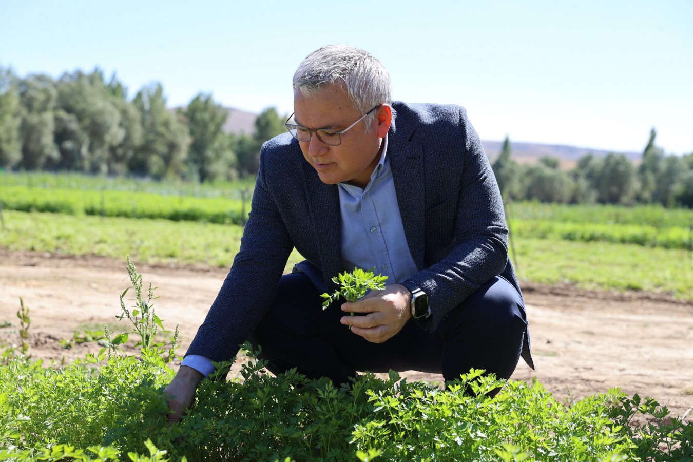 Üreten çiftçi emeğinin karşılığını alıyor;