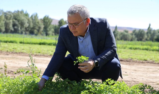 Üreten çiftçi emeğinin karşılığını alıyor