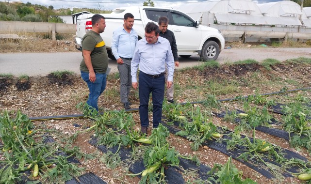 Dolu yağışı sera ve tarlalara zarar verdi