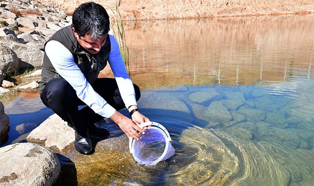 Aşıkpaşa Göleti’nde biyoçeşitlilik artıyor: Vali Demiryürek, 3 bin adet alabalığı gölete bıraktı