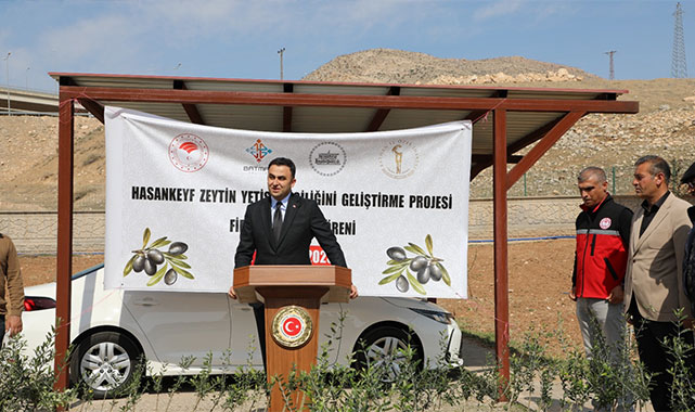 Hasankeyf'te binlerce zeytin fidanı toprakla buluştu!;