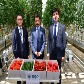 Türkiye'nin ilk ve tek GES destekli hidroserası tanıtıldı