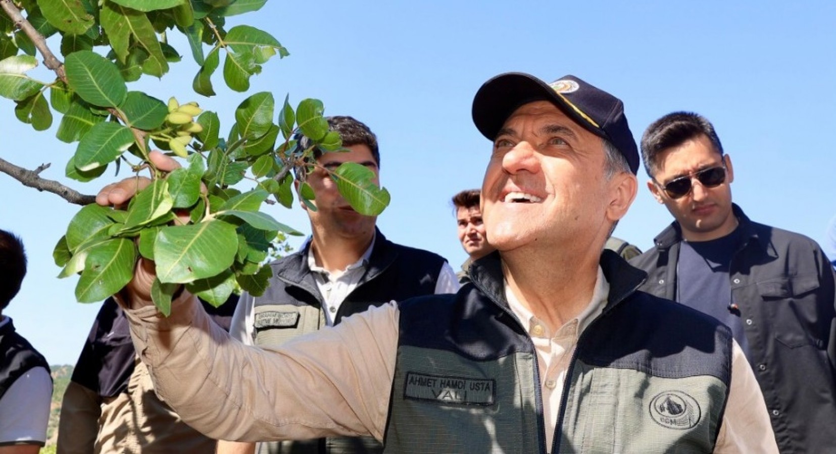 Bingöl’de menengiç ağaçları fıstığa dönüşüyor;
