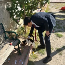 Sahipsiz hayvanlar için sokağa mama bıraktı