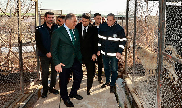 ''Sadece insanların değil, çiçeklerin, hayvanların, böceklerin de valisiyim"