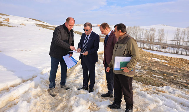 Bayburt'ta sokak hayvanları için çalışmalar devam ediyor;