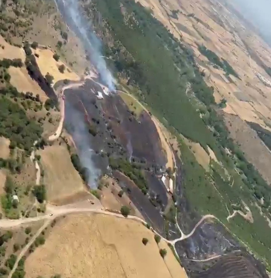 Balıkesir'de ormanlık alanda yangın çıktı, Validen açıklama;