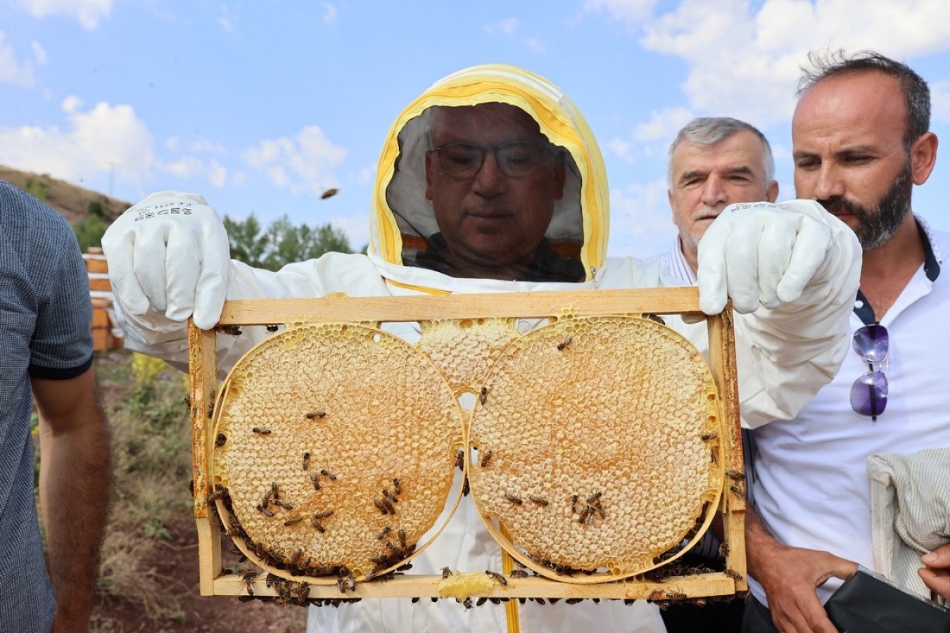 Çiçek balının başkentinde hasat başladı;