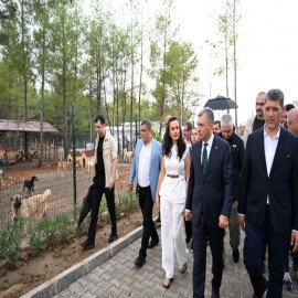 “Sokak hayvanları meselesini medeniyetimize yakışır şekilde çözeceğiz”