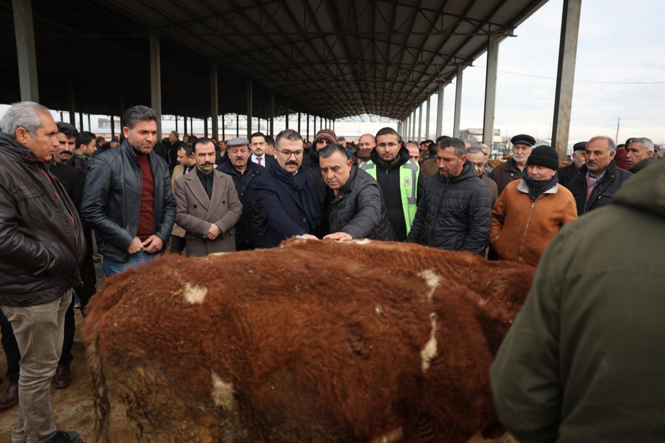 "Hayvancılıkta çok ilerideyiz";