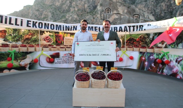 Amasya'da en iyi kiraz üreticilerine ödül