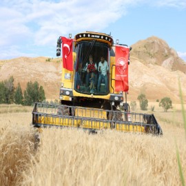 Türkiye'nin hububat üretim merkezinde hasat başladı