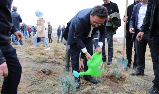 Erciyes Dağı lavantayla renklenecek