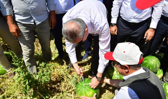 150 bin ton karpuzun hasat zamanı