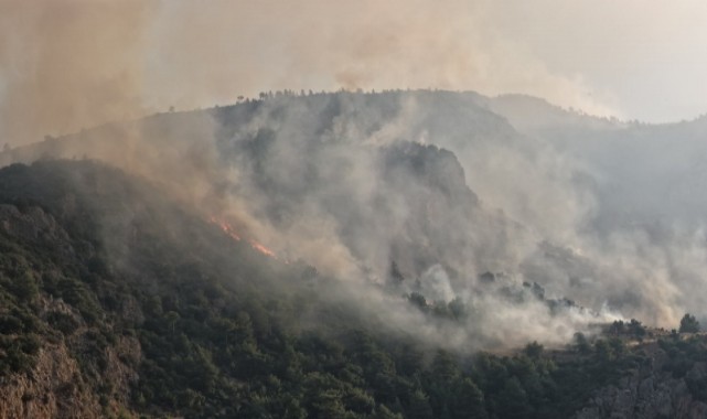 Muğla’da yangın alarmı: Yeni kurallar devreye girdi
