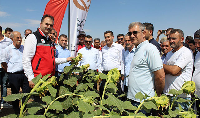 Kozluk'ta ikinci ürün ayçiçeği için tarla günü düzenlendi