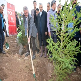 Vali Yazıcı 1923 öğrenciyle fidan dikti