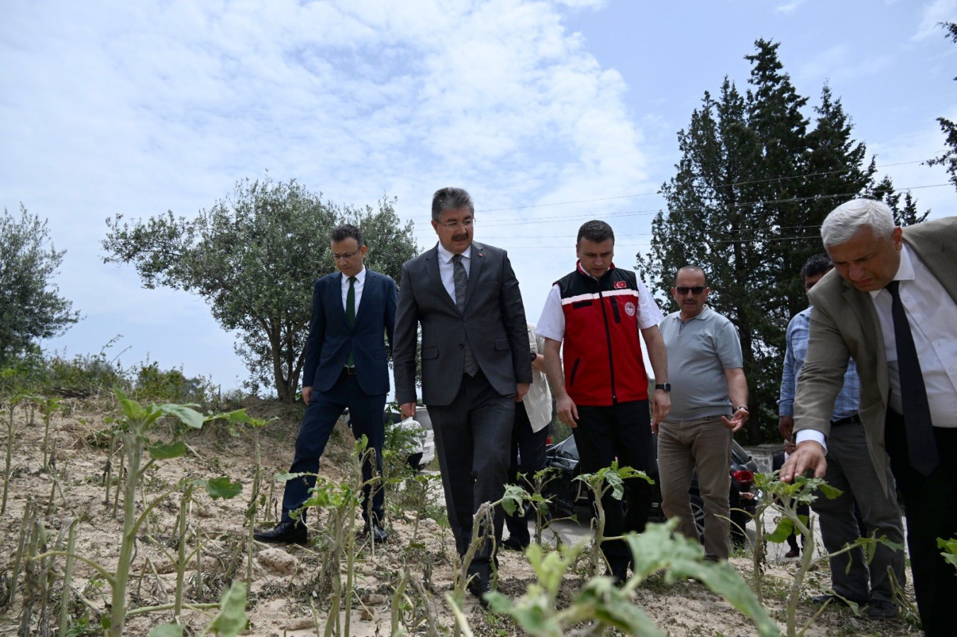 Şiddetli yağmur tarım arazilerini perişan etti