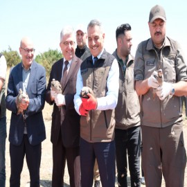 Yozgat'ta 2007'den bu yana 223 bin kınalı keklik doğaya salındı