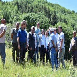 Gümüşhane Kelebekler Vadisi ekoturizme kazandırılıyor
