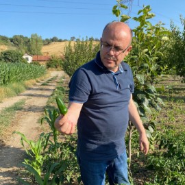 Jalapeno biberinin adı ‘Kaymakam biberi’ oldu