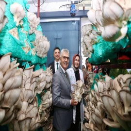 Vali Çelik mantar hasadına katıldı "Kadın girişimciliğinin desteklenmesi büyük önem taşıyor"