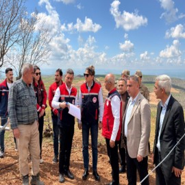 Baykan’da bağcılıkta modern dönem