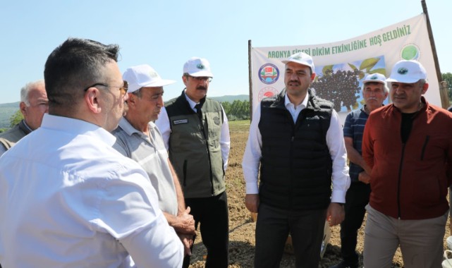 Alım garantili Aronya üretimi Sakarya ekonomisini şahlandıracak