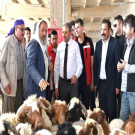 Şanlıurfa'da kurban kesecekler dikkat!