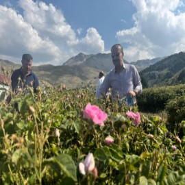 Vali Erin'den davet var