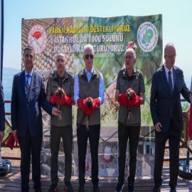 Doğal denge için Büyükada’da bin sülün doğayla buluştu