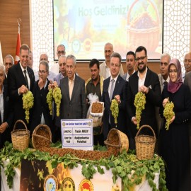 Üzümün anavatanında ilk kuru üzüm satışı yapıldı