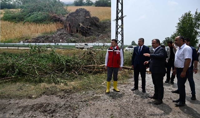 “Öyle bir hortum ki 50-100 yıllık ağaçları kökünden sökmüş”