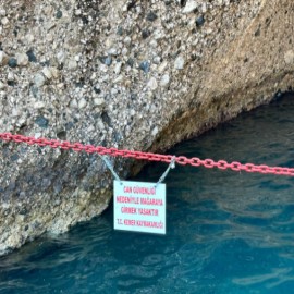 Kemer’de Akdeniz fokları devlet korumasında!
