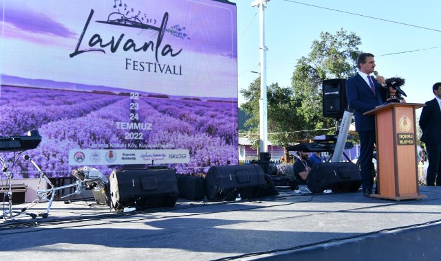 'Lavanta kokulu köy'de festival