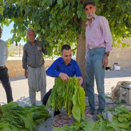 Kaymakam Algın, tütün iğneledi