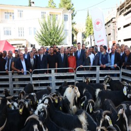 Adıyaman’da hayvancılığa 28,4 milyon TL’lik destek!
