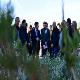 "Anadolu topraklarında üretim gelişecek"